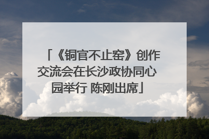 《铜官不止窑》创作交流会在长沙政协同心园举行 陈刚出席