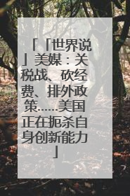 「世界说」美媒：关税战、砍经费、排外政策……美国正在扼杀自身创新能力