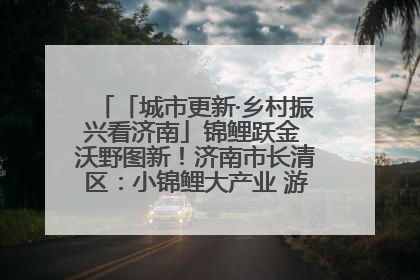 「城市更新·乡村振兴看济南」锦鲤跃金 沃野图新！济南市长清区：小锦鲤大产业 游出农旅新风景