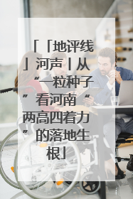 「地评线」河声丨从“一粒种子”看河南“两高四着力”的落地生根