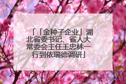 「金种子企业」湖北省委书记、省人大常委会主任王忠林一行到依瑞德调研