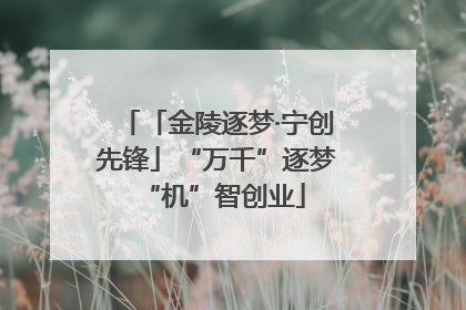 「金陵逐梦·宁创先锋」“万千”逐梦 “机”智创业