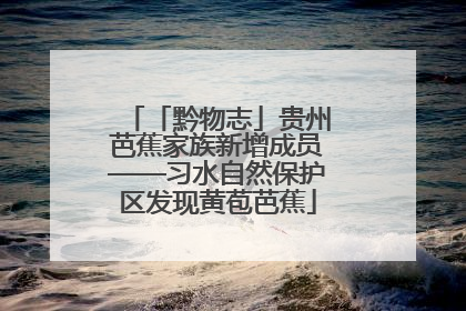 「黔物志」贵州芭蕉家族新增成员——习水自然保护区发现黄苞芭蕉