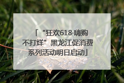 “狂欢618·嗨购不打烊”黑龙江促消费系列活动明日启动