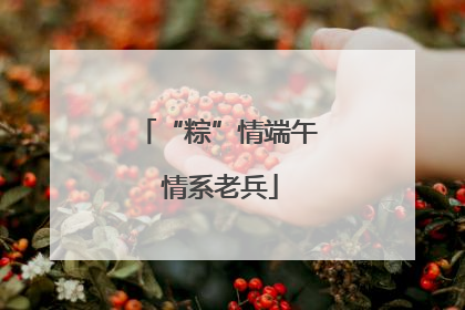 “粽”情端午 情系老兵