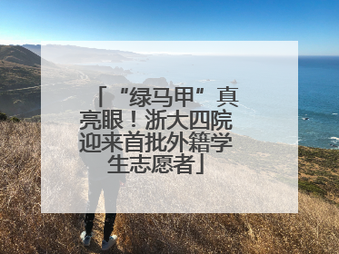 “绿马甲”真亮眼！浙大四院迎来首批外籍学生志愿者