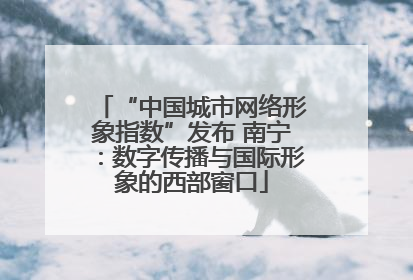 “中国城市网络形象指数”发布 南宁：数字传播与国际形象的西部窗口