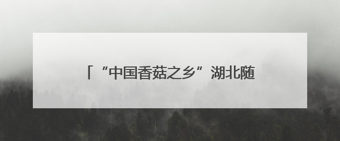 “中国香菇之乡”湖北随州“致富伞”远销海外