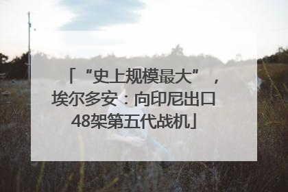 “史上规模最大”，埃尔多安：向印尼出口48架第五代战机