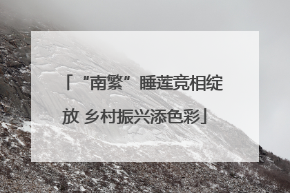 “南繁”睡莲竞相绽放 乡村振兴添色彩