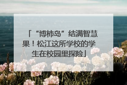 “博柿岛”结满智慧果！松江这所学校的学生在校园里探险