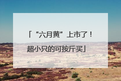 “六月黄”上市了！超小只的可按斤买