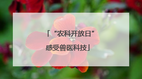 “农科开放日” 感受兽医科技