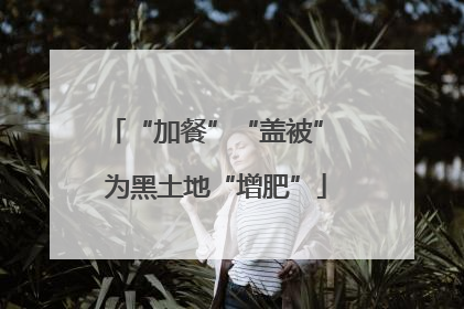 “加餐”“盖被” 为黑土地“增肥”