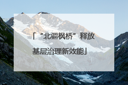 “北疆枫桥”释放基层治理新效能
