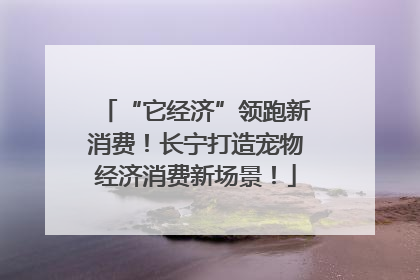 “它经济”领跑新消费！长宁打造宠物经济消费新场景！
