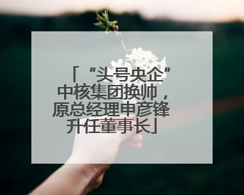 “头号央企”中核集团换帅，原总经理申彦锋升任董事长