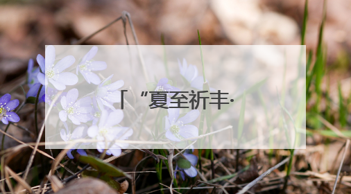 “夏至祈丰·稻香九洲”插秧体验活动在南昌九洲公园举行