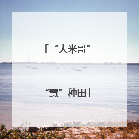 “大米哥”“慧”种田