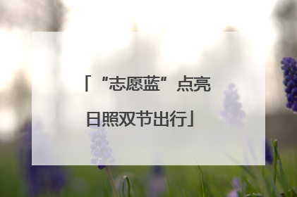 “志愿蓝”点亮日照双节出行