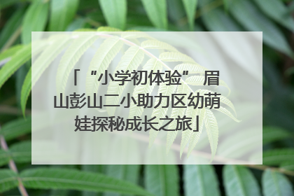 “小学初体验” 眉山彭山二小助力区幼萌娃探秘成长之旅
