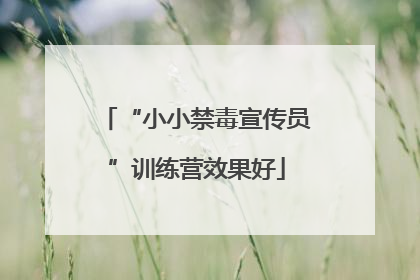 “小小禁毒宣传员”训练营效果好