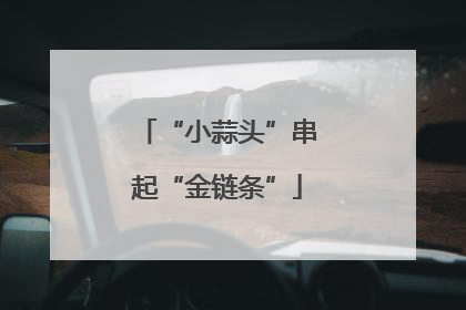 “小蒜头”串起“金链条”