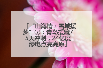 “山海情・雪域援梦”⑦：青岛援藏75天冲刺，24亿度绿电点亮高原