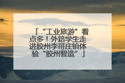 “工业旅游”看点多！外籍学生走进胶州李哥庄镇体验“胶州智造”