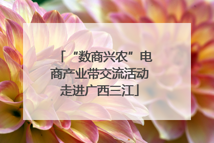 “数商兴农”电商产业带交流活动走进广西三江