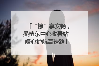 “棕”享安畅，桑植东中心收费站暖心护航高速路