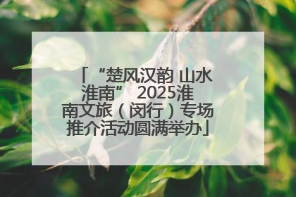 “楚风汉韵 山水淮南” 2025淮南文旅（闵行）专场推介活动圆满举办