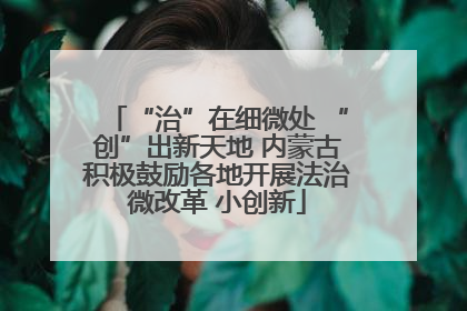 “治”在细微处 “创”出新天地 内蒙古积极鼓励各地开展法治微改革 小创新