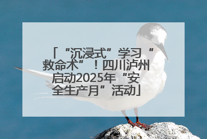 “沉浸式”学习“救命术”！四川泸州启动2025年“安全生产月”活动