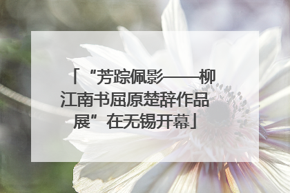 “芳踪佩影——柳江南书屈原楚辞作品展”在无锡开幕