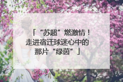 “苏超”燃激情！走进宿迁球迷心中的那片“绿茵”