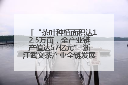“茶叶种植面积达12.5万亩，全产业链产值达57亿元” 浙江武义茶产业全链发展“加速度”