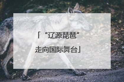 “辽源琵琶” 走向国际舞台