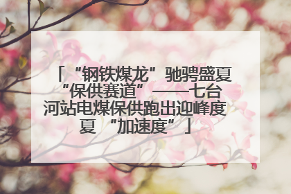 “钢铁煤龙”驰骋盛夏 “保供赛道”——七台河站电煤保供跑出迎峰度夏 “加速度”