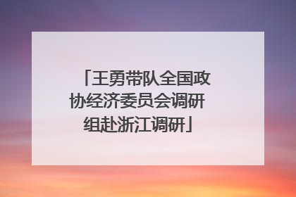 王勇带队全国政协经济委员会调研组赴浙江调研