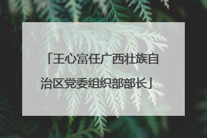 王心富任广西壮族自治区党委组织部部长