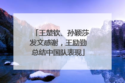 王楚钦、孙颖莎发文感谢，王励勤总结中国队表现