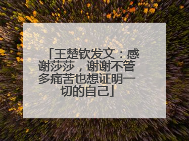 王楚钦发文：感谢莎莎，谢谢不管多痛苦也想证明一切的自己