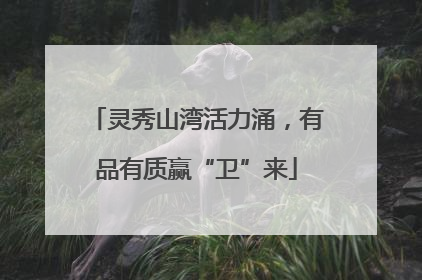 灵秀山湾活力涌，有品有质赢“卫”来