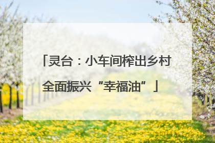 灵台：小车间榨出乡村全面振兴“幸福油”
