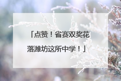 点赞！省赛双奖花落潍坊这所中学！