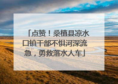 点赞！桑植县凉水口镇干部不惧河深流急，勇救落水人车