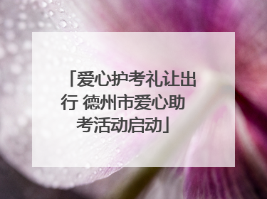 爱心护考礼让出行 德州市爱心助考活动启动