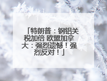 特朗普：钢铝关税加倍 欧盟加拿大：强烈遗憾！强烈反对！