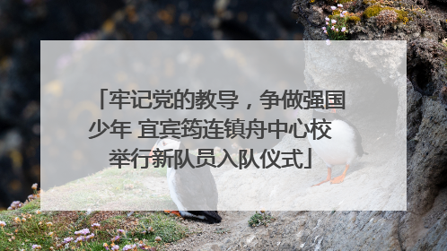 牢记党的教导，争做强国少年 宜宾筠连镇舟中心校举行新队员入队仪式